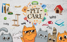 个性砖墙宠物店工装背景墙