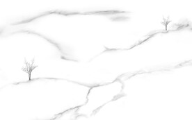 大理石背景墙 灰白根纹理