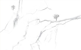 山水画大理石背景墙 灰白根纹理