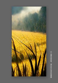 北欧小麦秋色田园风光风景装饰画