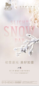 地产项目小雪节气刷屏海报