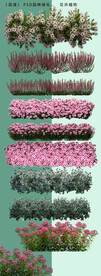  道路花卉绿化