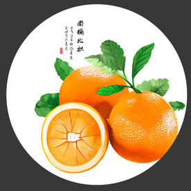 橙子插画