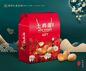 鸡蛋包装 土特产礼盒