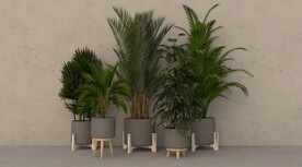 绿植盆栽su模型