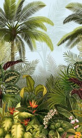 植物森林背景壁纸