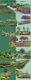 花境花卉植物 