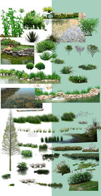 园林后期绿化素材