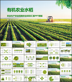 绿色有机水稻农业PPT
