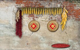 复古80后90后农村民居背景墙