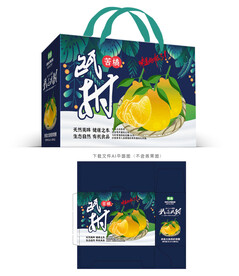 温州瓯柑包装