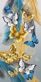 羽毛蝴蝶装饰画