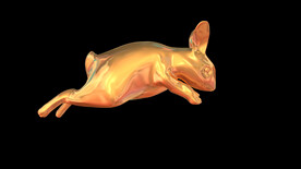 4K金兔子奔跑循环带alpha