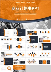 橙色通用项目商业计划书PPT