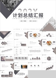 商务计划总结汇报PPT