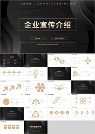 黑金企业宣传介绍公司培训PPT