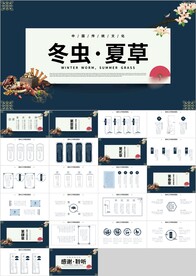 中医秋季冬季养生冬虫夏草PPT