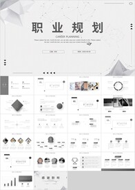 黑色商务简约职业规划PPT