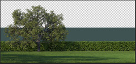 大树草坪高清分层抠图