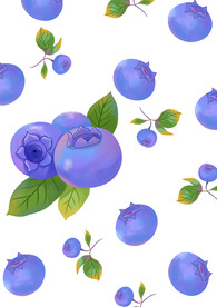 水果之蓝莓手绘小清新插画