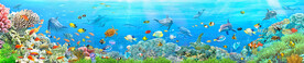 海底世界
