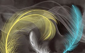 时尚羽毛沙发电视背景墙