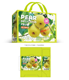 砀山酥梨包装 