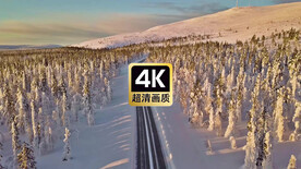 雪原树林公路美景
