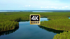 自然湿地丛林美景