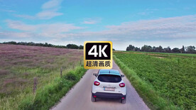 乡间道路上行驶的汽车