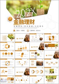 投资财务财富工作总结PPT