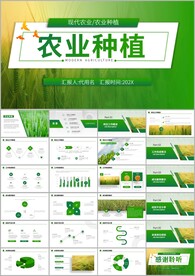 农业生产水稻种植ppt模板