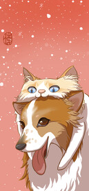 猫猫狗狗