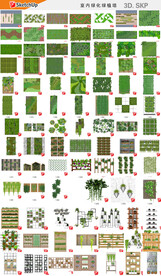 室内绿化绿植墙