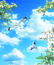 蓝天白云 大雁