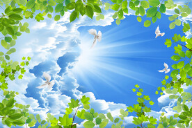 蓝天白云阳光