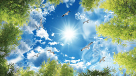 仰拍蓝天白云竹叶