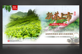 新茶上市
