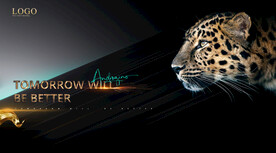 豹子 动物 速度