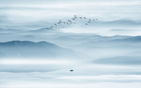 意境水墨山水画背景墙