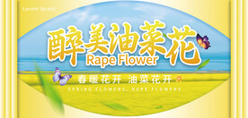 醉美油菜花