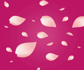 飘落樱花桃花装饰花瓣漂浮元素