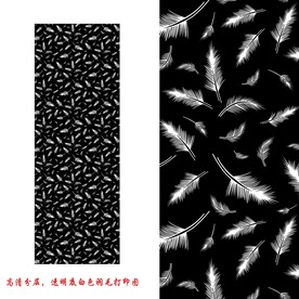 高清分层透明底白羽毛平开门打印