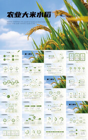 农业大米水稻农业种植PPT模板