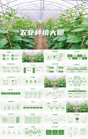 绿色农业种植大棚技术PPT模板