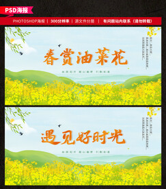 油菜花节
