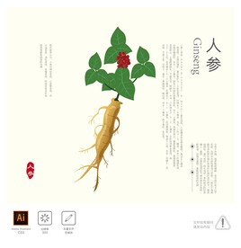 人参 插画