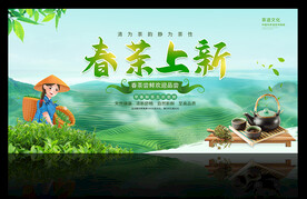春茶