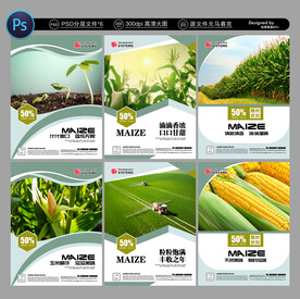 玉米展板