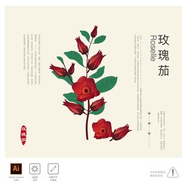 玫瑰茄 洛神花 插画